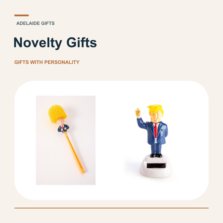 Novelty Gifts — Donald Trump toilet brush and solar dancer