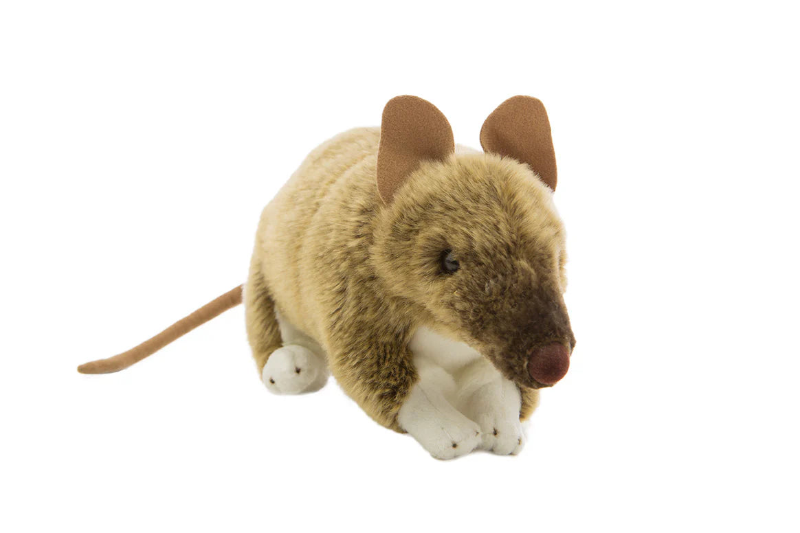 Kimba (Camel - 34cm lying)