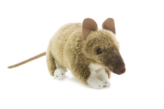 Kimba (Camel - 34cm lying)