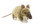 Kimba (Camel - 34cm lying)