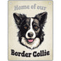 Border Collie - Pet Sign