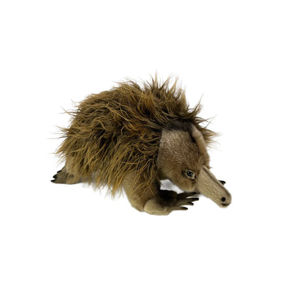 Harry (Echidna - 24cm)