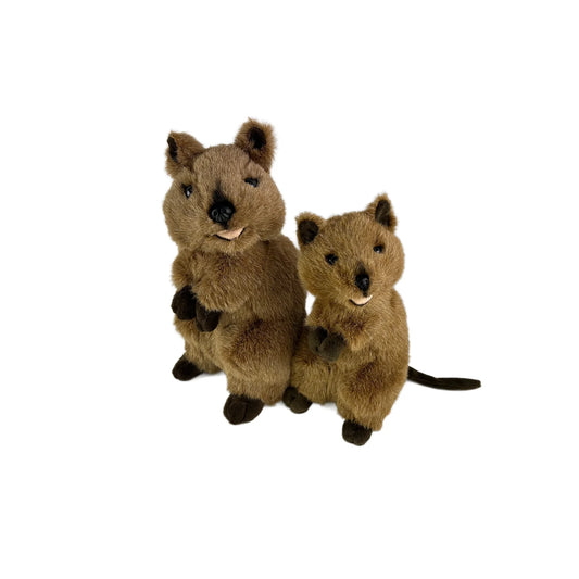 Edward (Quokka - 21cm standing)