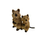Edward (Quokka - 21cm standing)