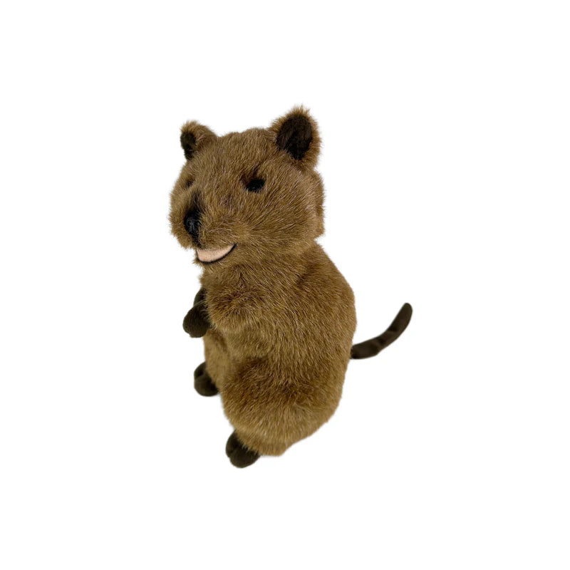 Edward (Quokka - 21cm standing)