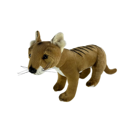 Cooper (Tasmanian Tiger - 30cm)