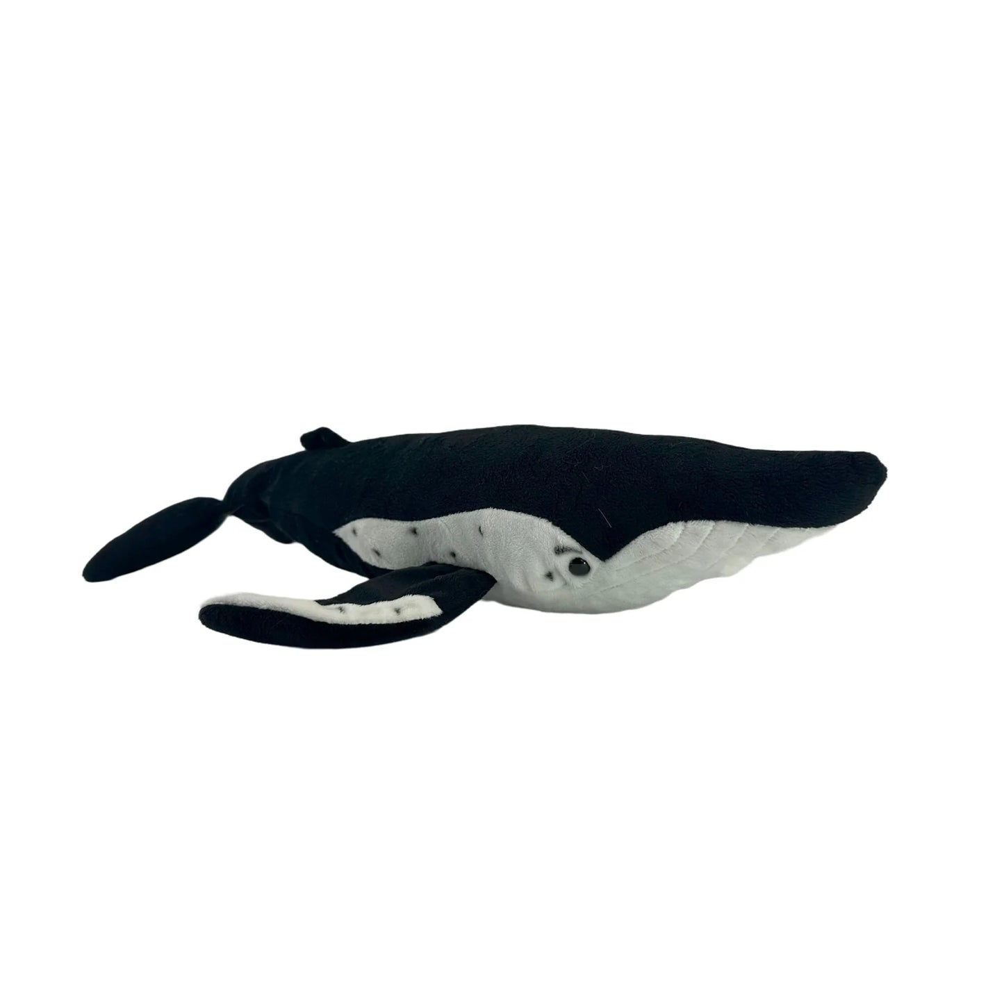 Humphrey (Humpback Whale - 56cm)