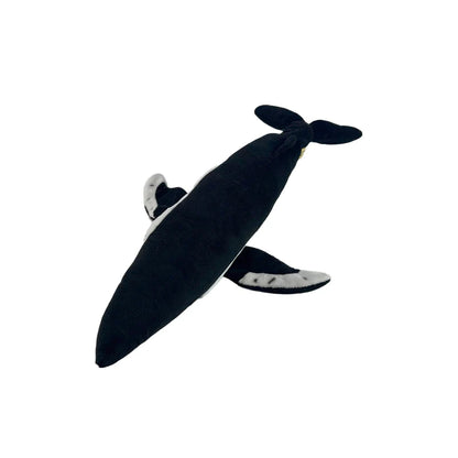 Humphrey (Humpback Whale - 56cm)