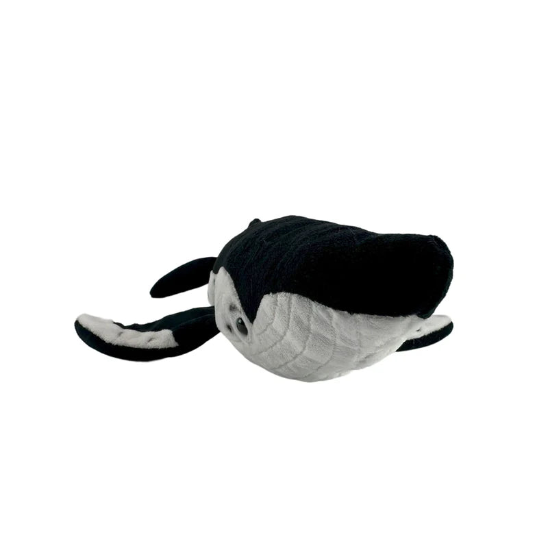 Humphrey (Humpback Whale - 56cm)