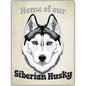 Siberian Husky - Pet Sign
